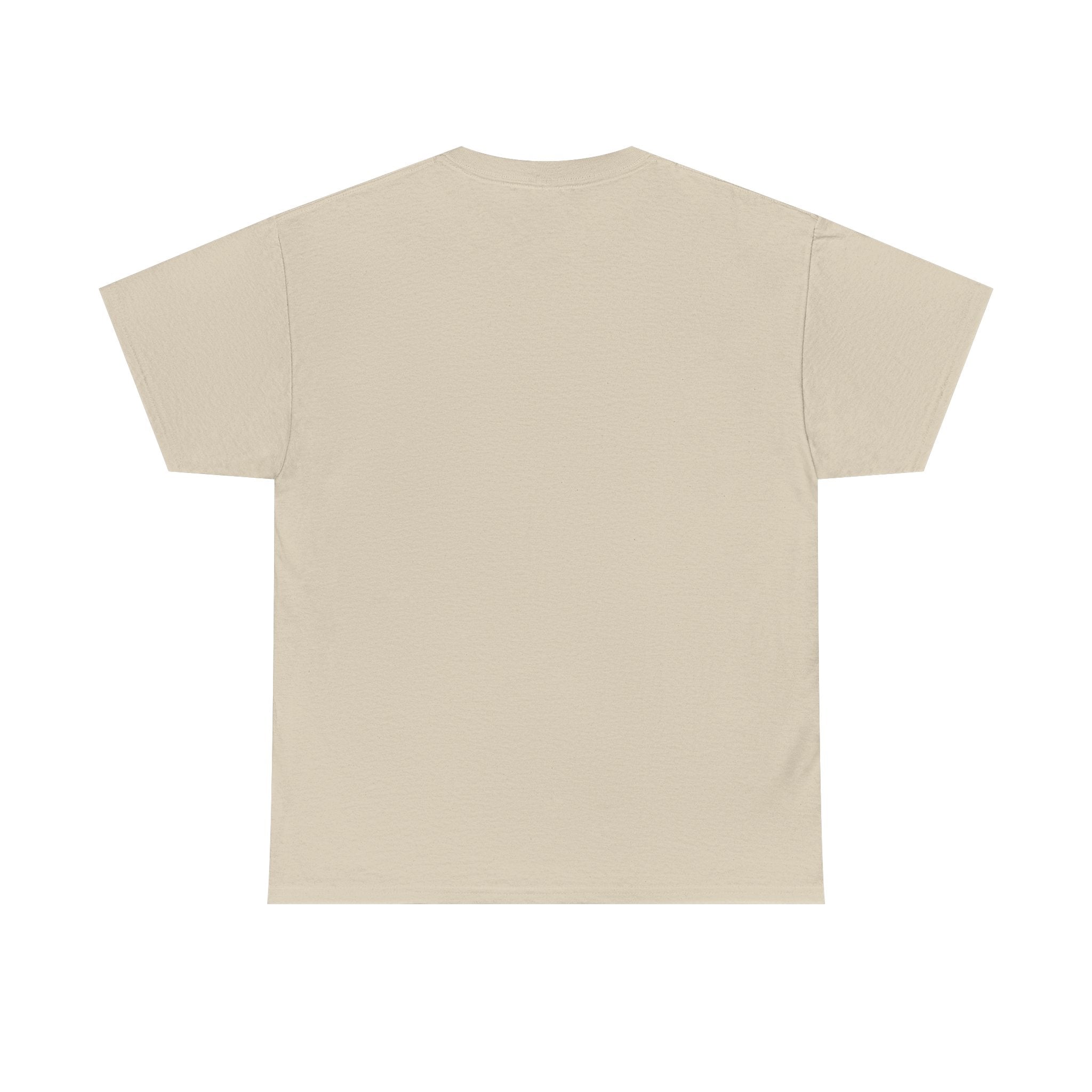 Unisex Heavy Cotton Tee - Regular Fit