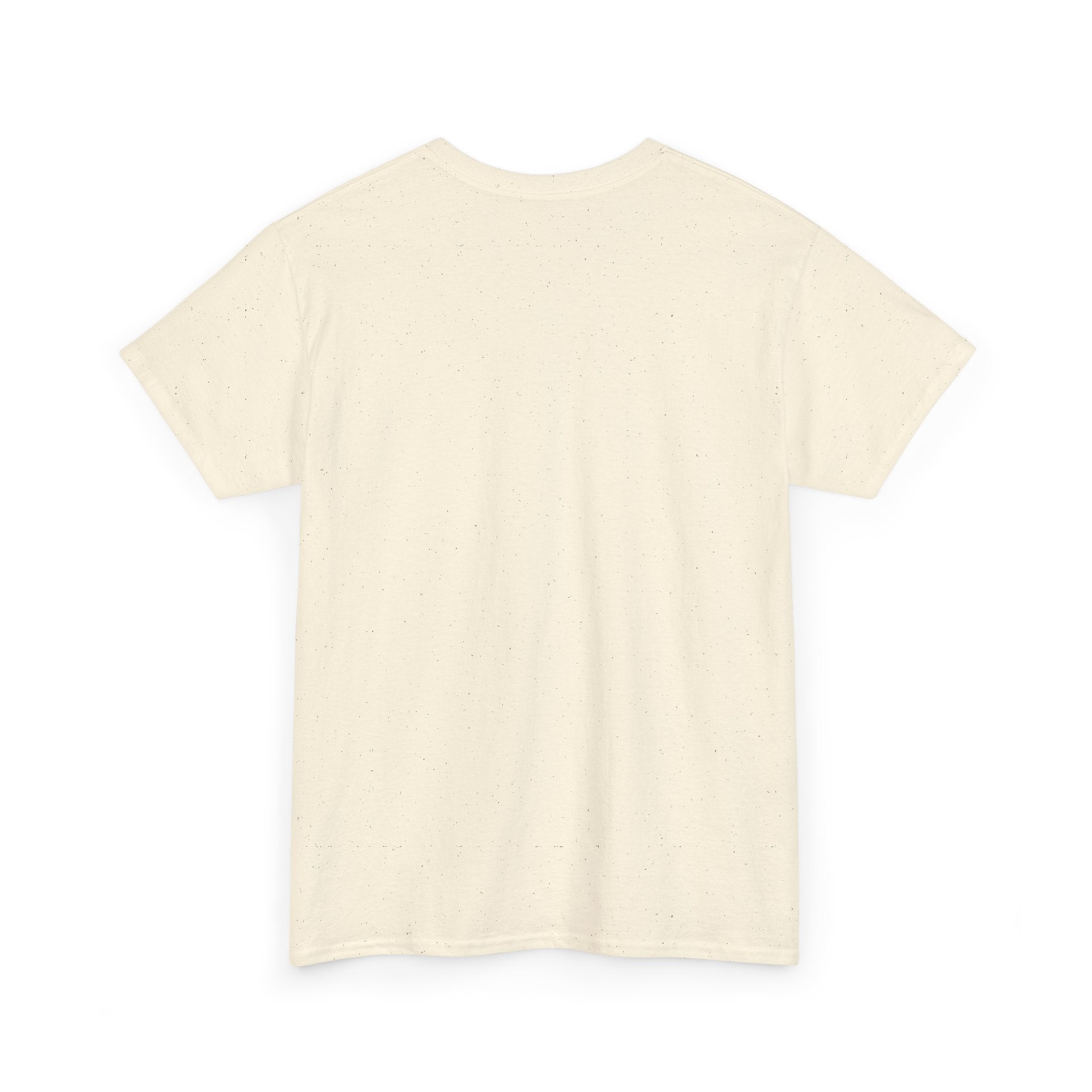 Unisex Heavy Cotton Tee - Regular Fit