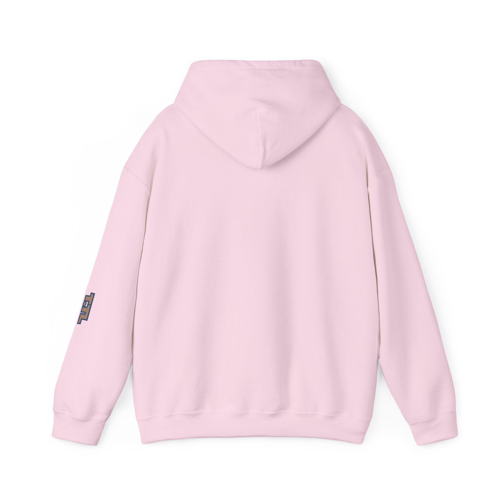 Cozy Unisex Hooded Sweatshirt - True. the Label (T.TL) design