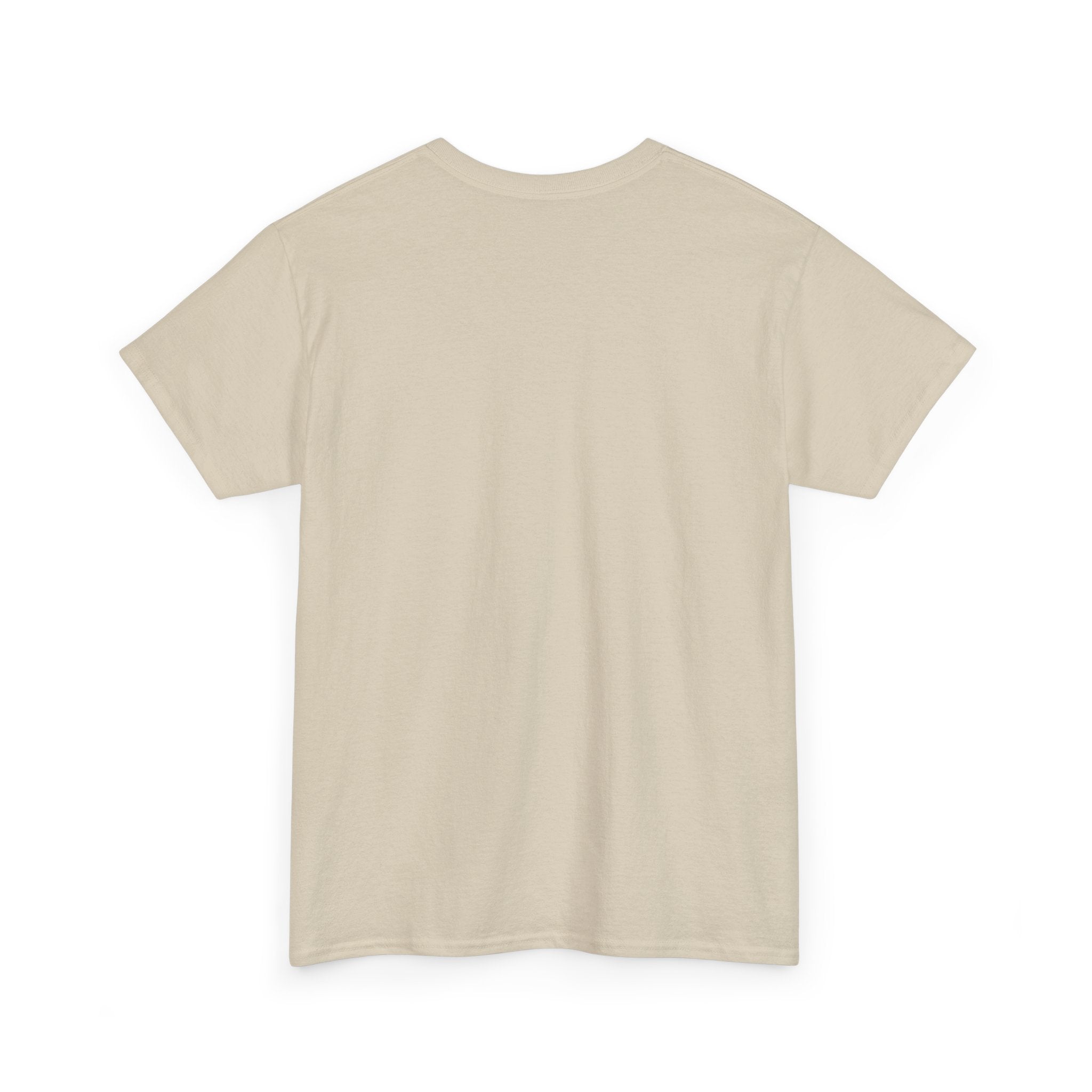 Unisex Heavy Cotton Tee - Regular Fit
