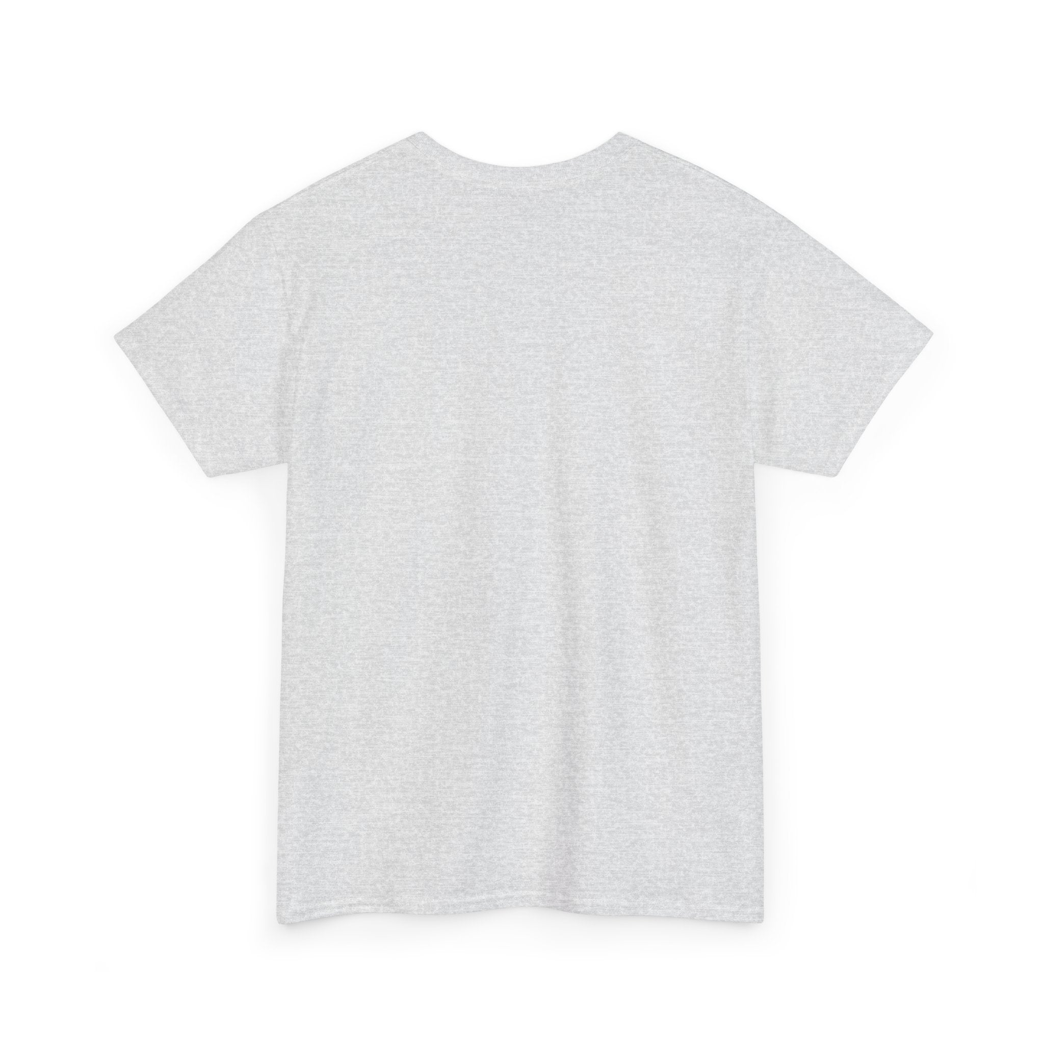 Unisex Heavy Cotton Tee - Regular Fit