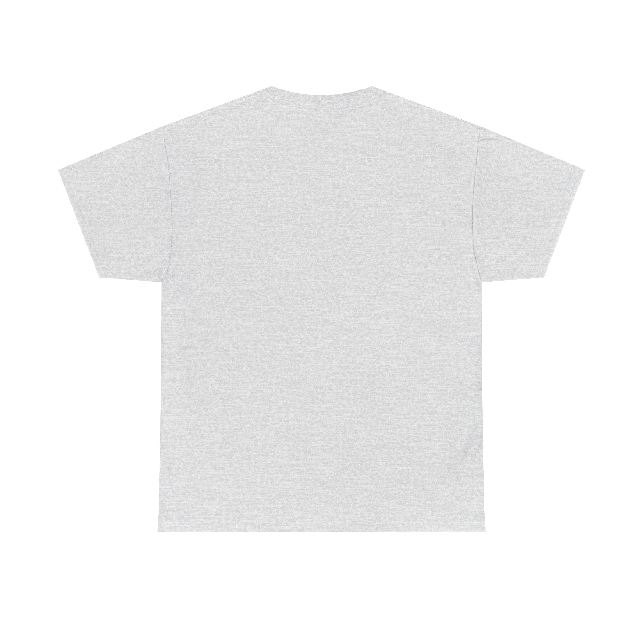 Unisex Heavy Cotton Tee - Regular Fit