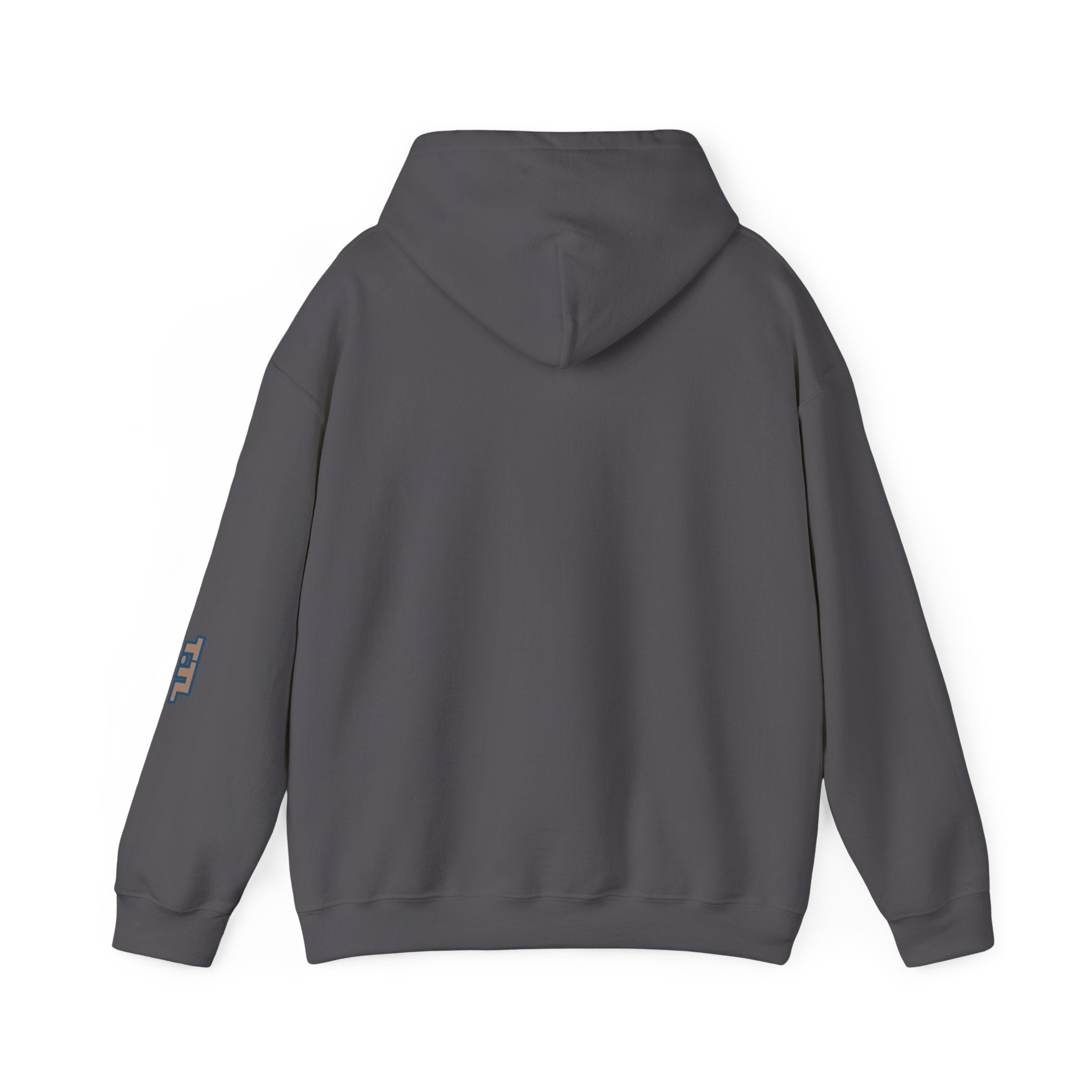 Cozy Unisex Hooded Sweatshirt - True. the Label (T.TL) design