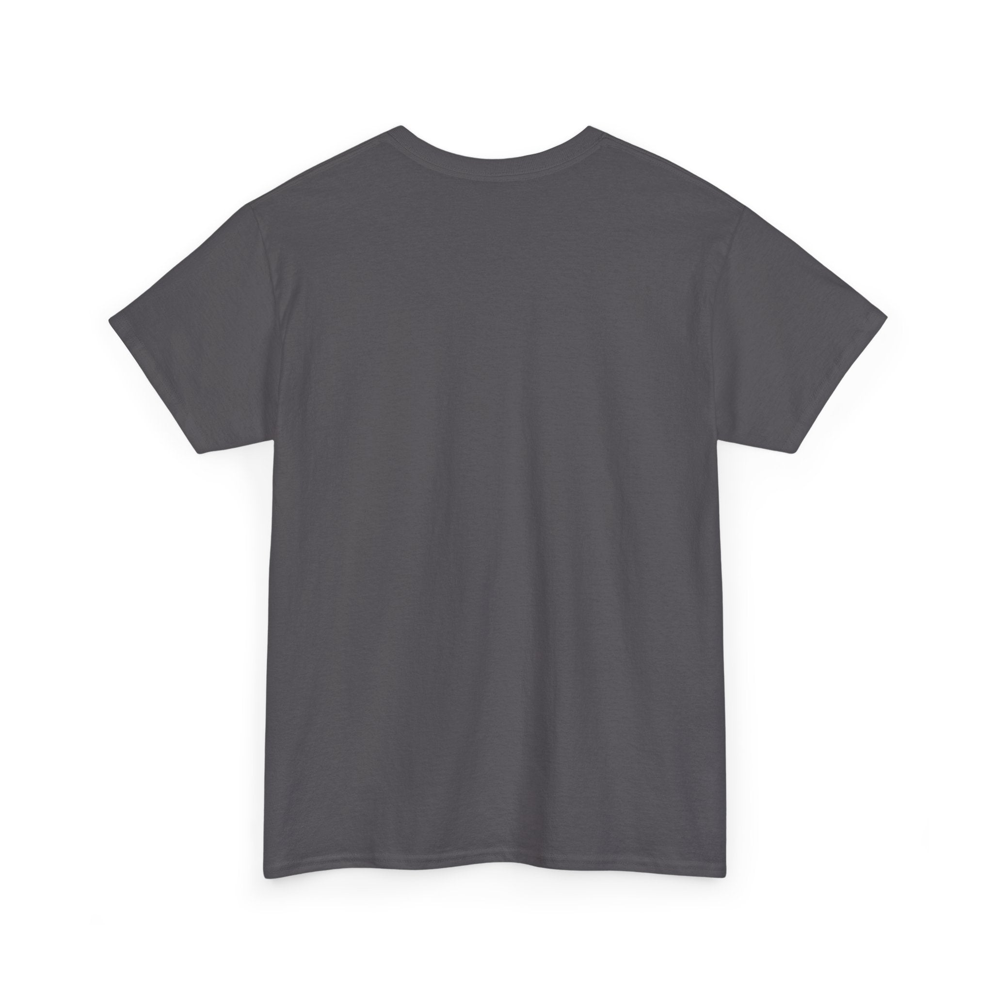 Unisex Heavy Cotton Tee - Regular Fit