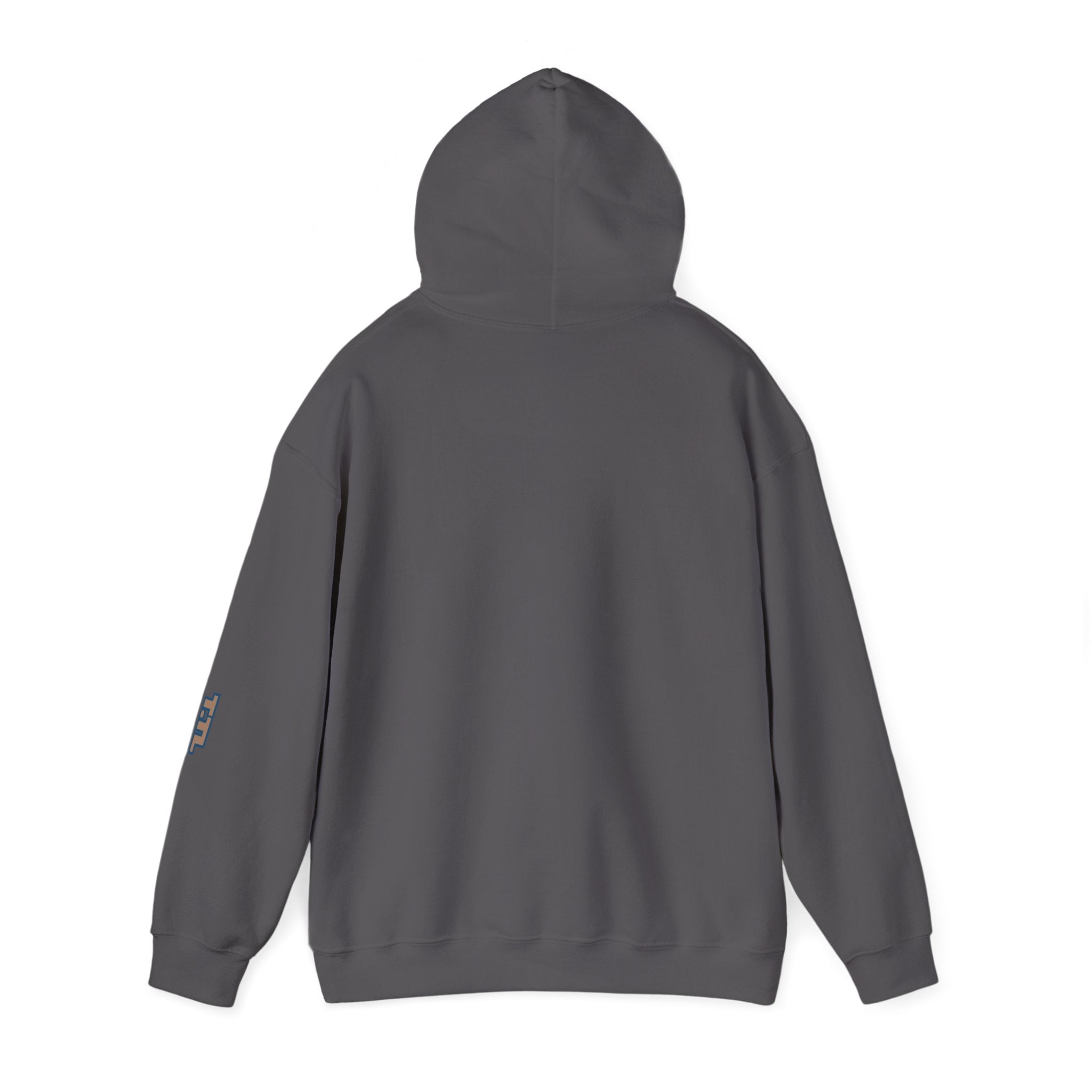 Cozy Unisex Hooded Sweatshirt - True. the Label (T.TL) design