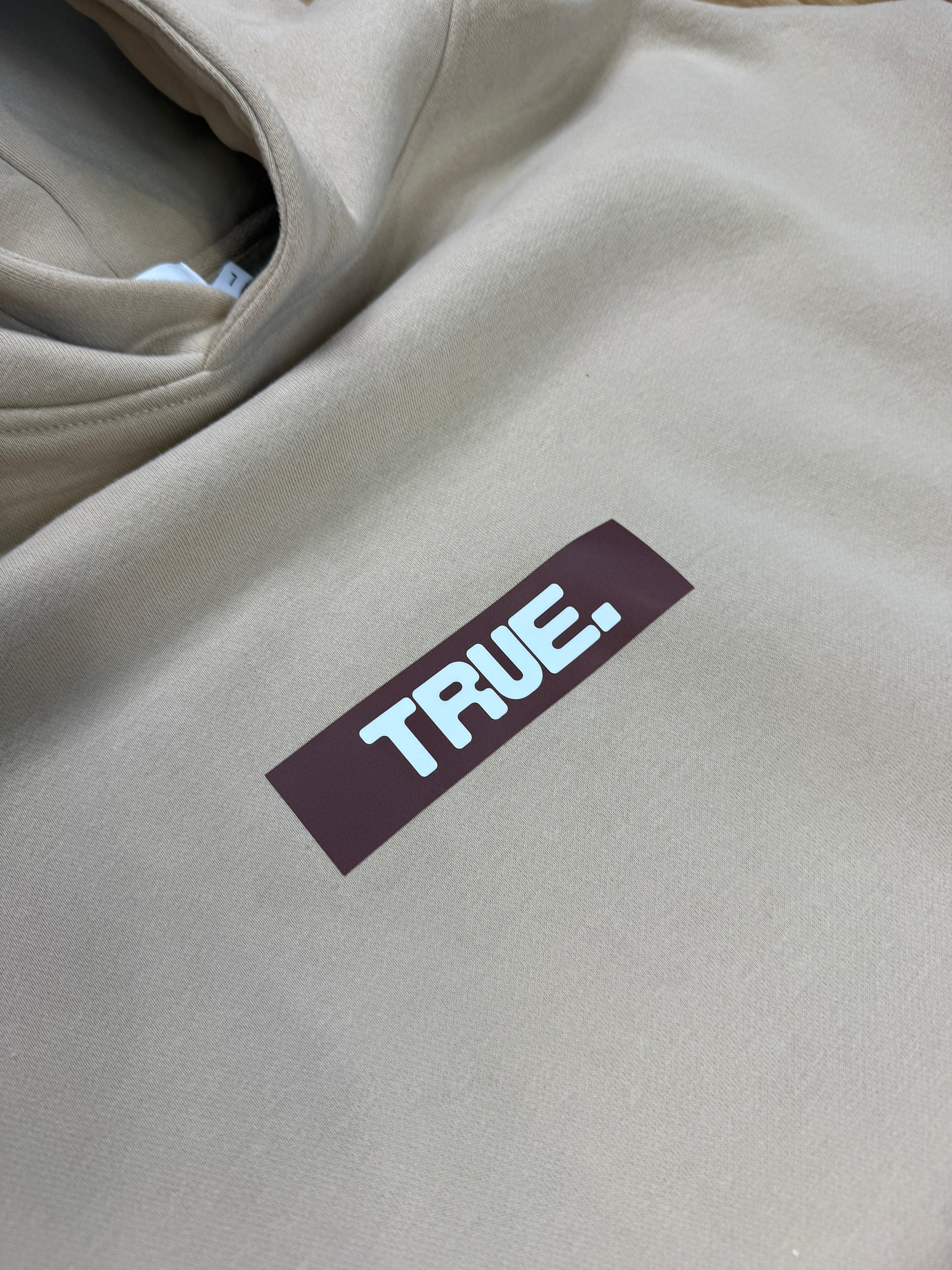 Oversized Sand Fleece Unisex Hoodie with Chocolate TRUE. Design